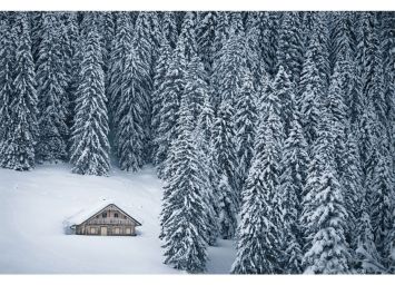 Beautiful View 30 x 40 Print - SF723040