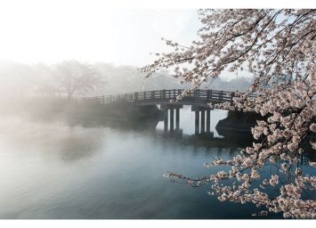 Bridge In The Fog 30 x 40 Print - SF813040