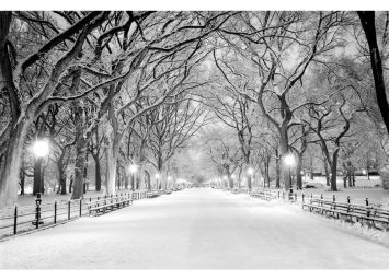 Central Park 30 x 40 Print - SF793040