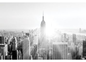 Downtown skyline 30 x 40 Print - SF763040