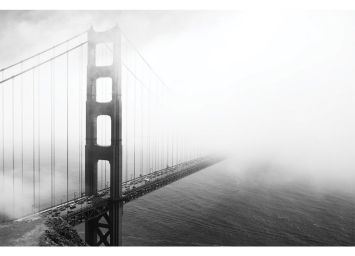 Foggy Morning 30 x 40 Print - SF853040