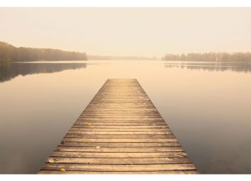 Foggy Sunrise 24 x 36 Print - SF702436