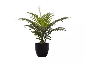 Indoor 20" Palm Potted Plant - 9501PA00