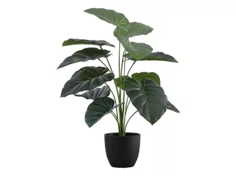 Indoor 24" Alocasia Potted Plant - 9578AL00