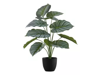 Indoor 24" Calathea Potted Plant - 9577CA00