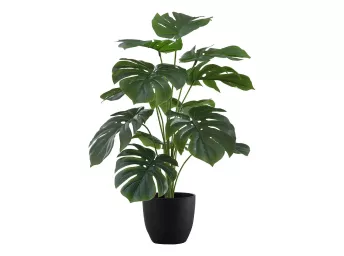 Indoor 24" Monstera Potted Plant - 9576MO00