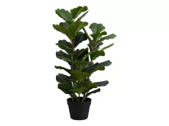 Indoor 32" Fiddle Potted Plant - 9511FI00
