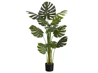 Indoor 55" Monstera Potted Plant - 9548MO00