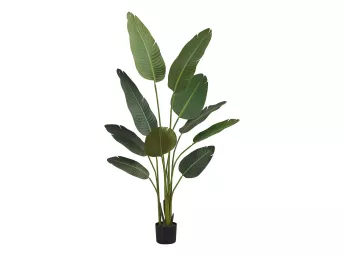 Indoor 60" Bird Of Paradise Potted Plant - 9570BP00