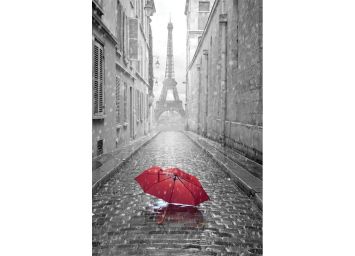 Paris Street 30 x 40 Print - SF963040