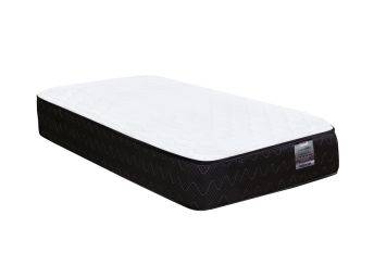 Posture Care Twin Mattress