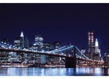Skyline At Night 30 x 40 Print - SF873040