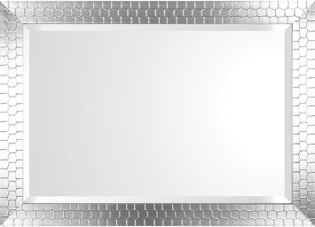 Turtle Silver 24x36 Mirror - TSIL2436