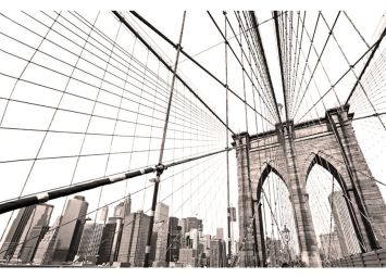 View From Below 30 x 40 Print - SF823040