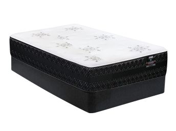 Windham Pocket Coil Twin Set - WINDTW20