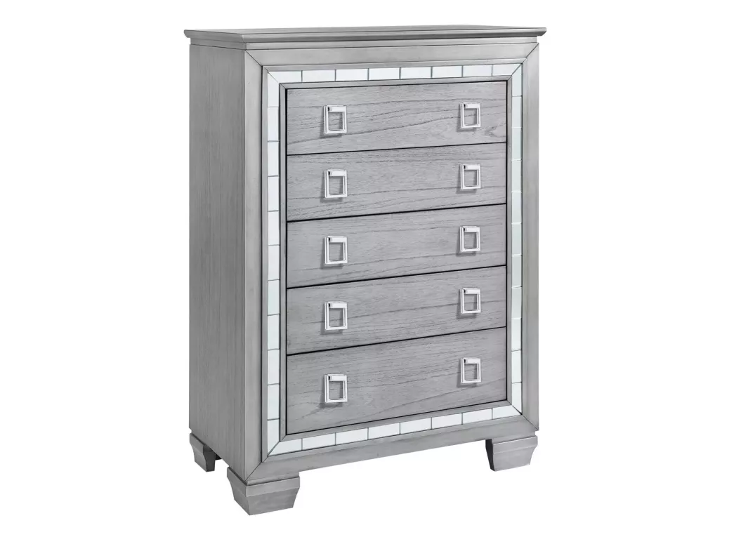 1106 Olympus CHEST - 1106OL04